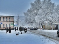 Доманёвка. цетр. зима.