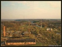 Терны