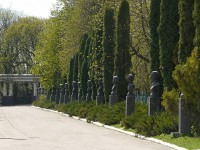 Алея, яка веде в парк