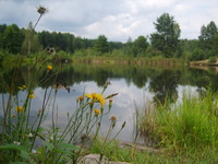 Красота природы К. Брода