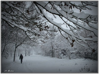 И в Приморске бывает зима. 
