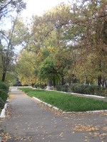 Культура та природа рідного краю
