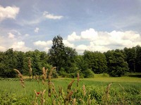 Барви Полтавщини