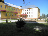 Пологовий будинок