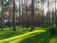 Центральный парк. Красота мгновения