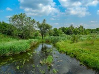 Весна и осень