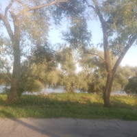 Природа Градижска