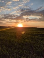 Природа нашего края