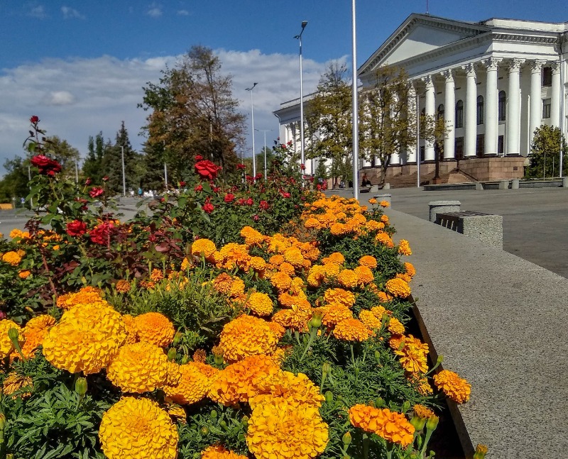 Вузы и колледжи Москвы