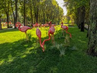 Парк Горького