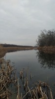 Минівка