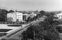 Місцеві краєвиди