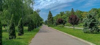 Прогулка в парке