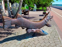 Щука з Кременчука