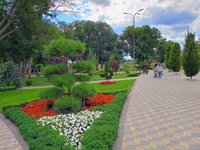 Прогулка в парке