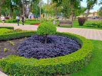 Городской парк