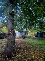 Мотижин. Осінь2025.