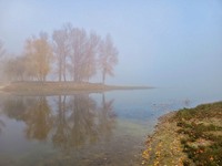 Туманное утро