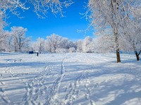 Білосніжний пляж