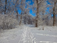 Зимові доріжки